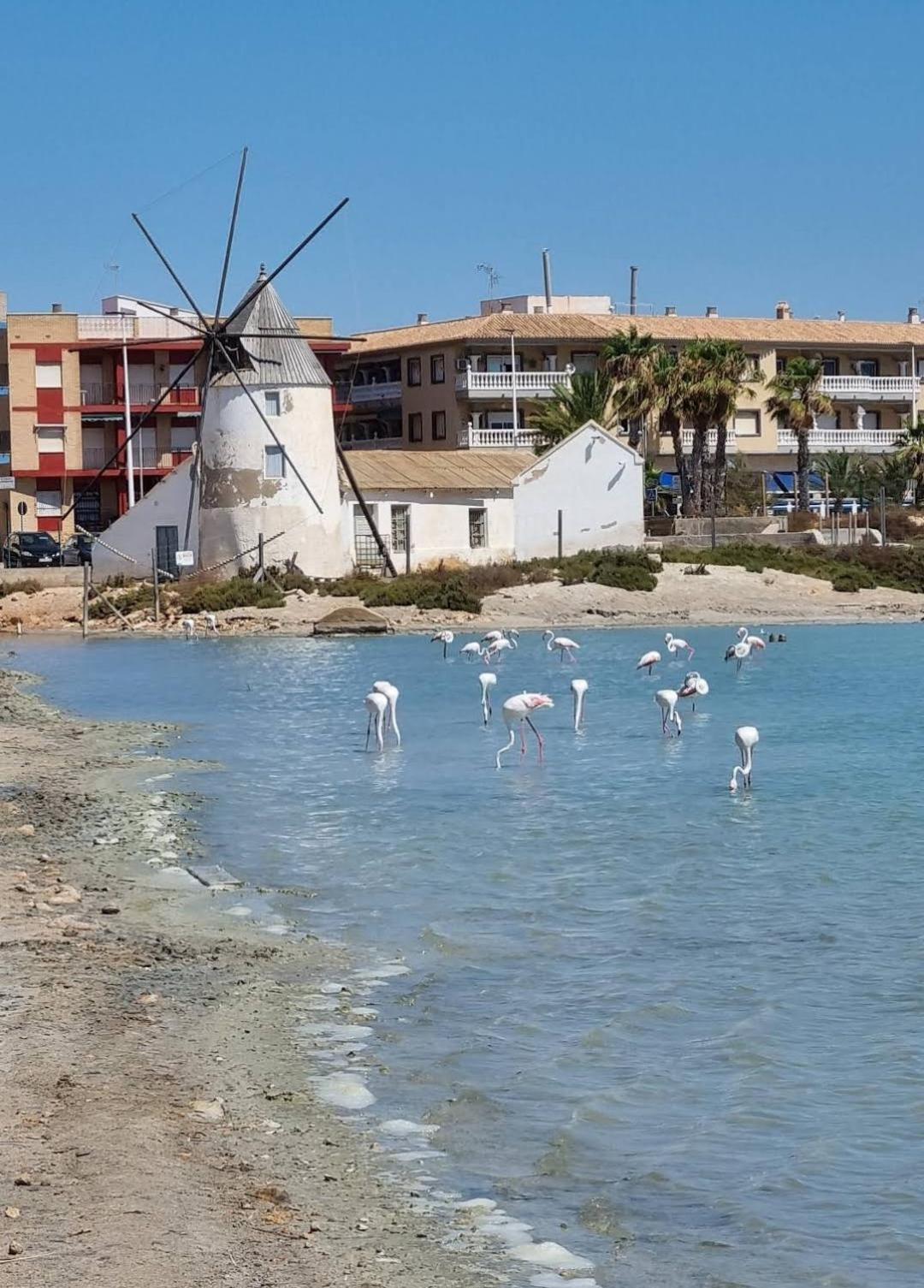 Casa Del Sol Appartement *